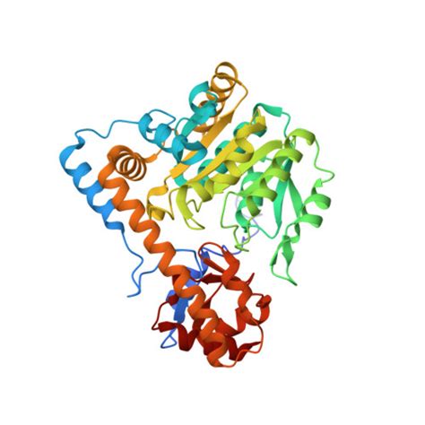 RCSB PDB 8E9D Crystal Structure Of E Coli Aspartate