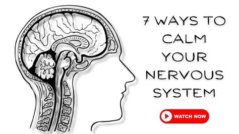 7 Ways To Calm Your Nervous System How To Calm Your Nervous System 7