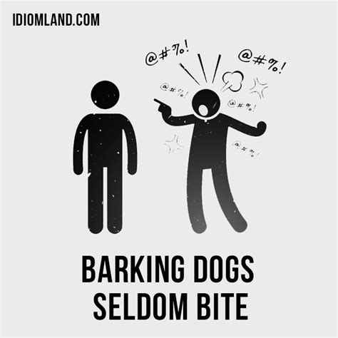 A Barking Dog Doesn T Bite Meaning