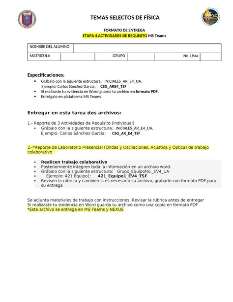 Tsf Formato De A Requisitos Etapa C Formato De Entrega Etapa