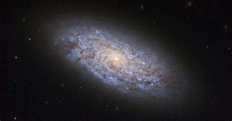 Hubble displays a dwarf spiral galaxy