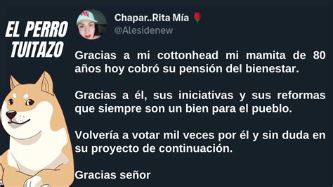 El Perro Tuitazo Reformas De AMLO Siempre En Pro Del Pueblo Los