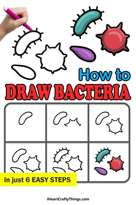 Bacteria Drawing - How To Draw Bacteria Step By Step