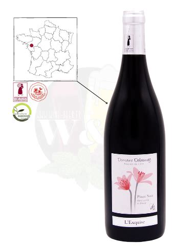 Igp Val De Loire Domaine Delaunay Pinot Noir Vin Rouge W B