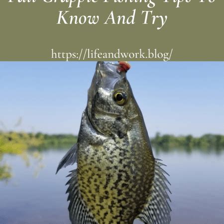 Crappie Fishing Tips