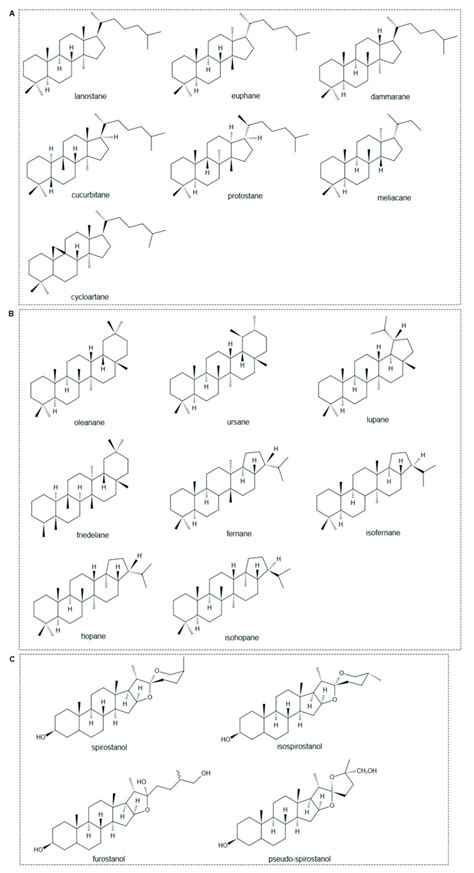 Chemical structures of different subgroups of tetracyclic triterpenoid... | Download Scientific ...