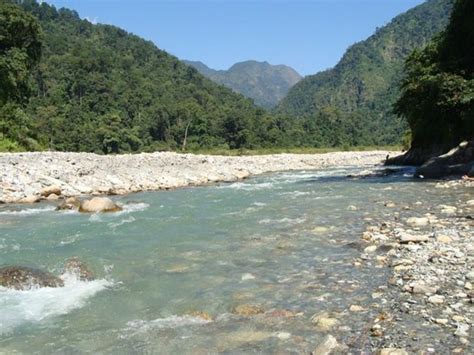 Jayanti River Spot, jayanti, India - Top Attractions, Things to Do ...