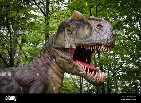eye  eye  dinosaurs lifesize model   allosaurus stock photo