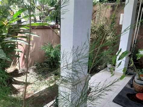 Rumah Murah M Di Renon Jalan Moh Yamin Harga Nego Kawasan Elite