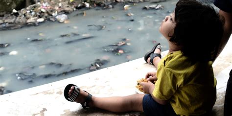 Pollution L Environnement D Grad Est Responsable De La Mort De