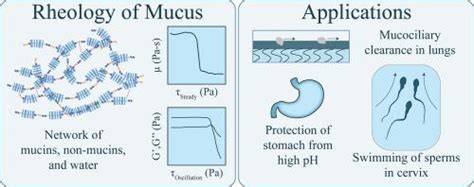 人类粘液的产生行为advances In Colloid And Interface Science X Mol