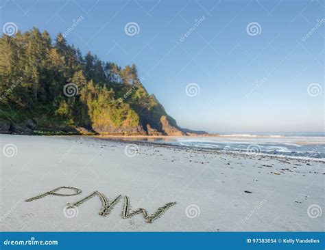 在沙子的pnw在太平洋海岸 库存照片 图片 包括有 旅行 和平 绿色 西北 假期 旅游业 探险 97383054