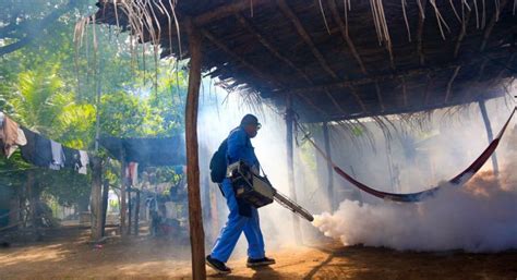 Personal De Salud Realiza Fumigaci N Contra El Zancudo En Isla Tasajera