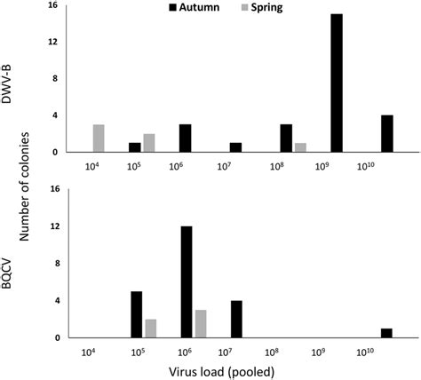 Histogram Of Dwv B And Bqcv Viral Titre In Pooled Colony Samples N