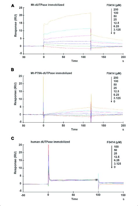 Surface Plasmon Resonance Spr Analysis Of The Affinity Between Download Scientific Diagram