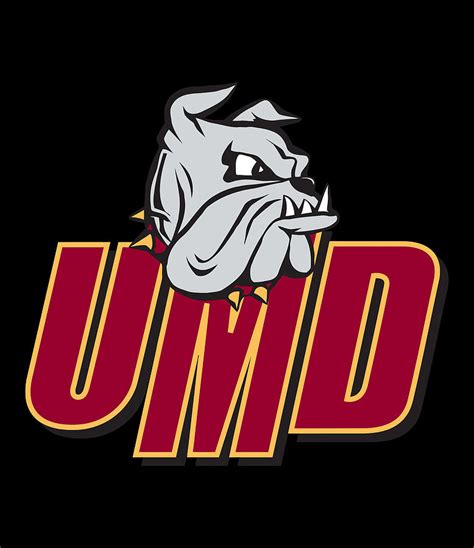 University Of Minnesota Duluth Digital Art By Jenner Jenni Pixels