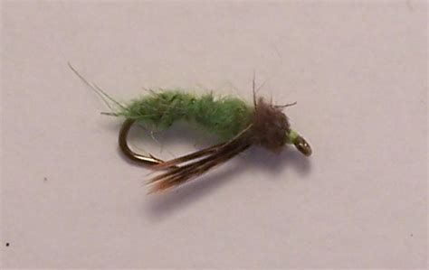 Vermont Fly Fishing Apple Caddis