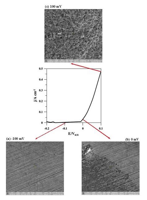 Typical Anodic Potentiodynamic Polarization Curve Measured For Bronze