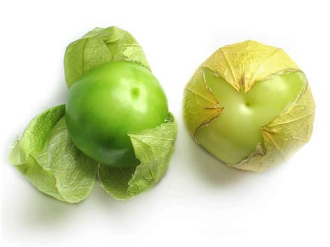 Tomatillo Physalis Ixocarpa Ethnobotanik