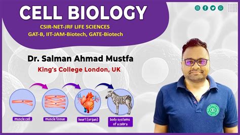 Cellular Organization Unit 2 CSIR NET Life SCIENCE JNU DU