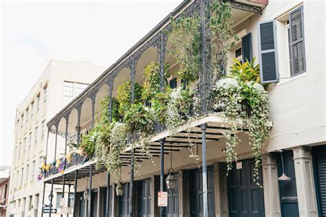 New Orleans: French Quarter Food Tour with Tastings | GetYourGuide