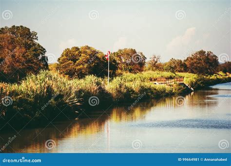 Landscape of Rhone River Delta, Camargue Stock Image - Image of marshes ...