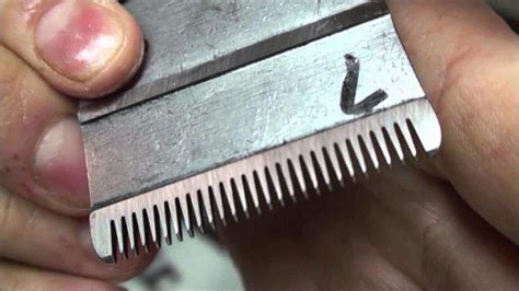 How To Sharpen Hair Clipper Blades Step By Step Cool Men S Hair