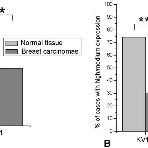 Variation Of The K Channels Expression In Normal And Cancer Breast