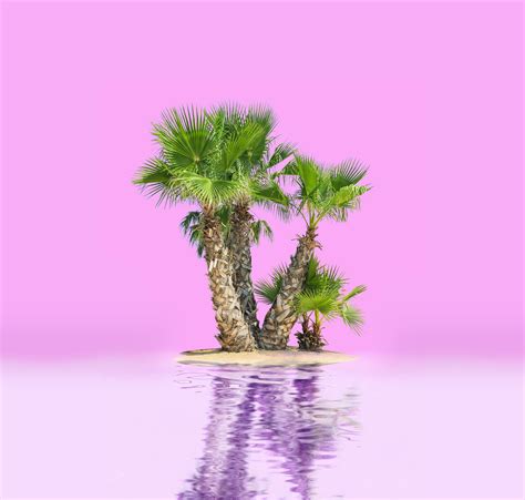 3 bizarre vacation ideas to save your summer