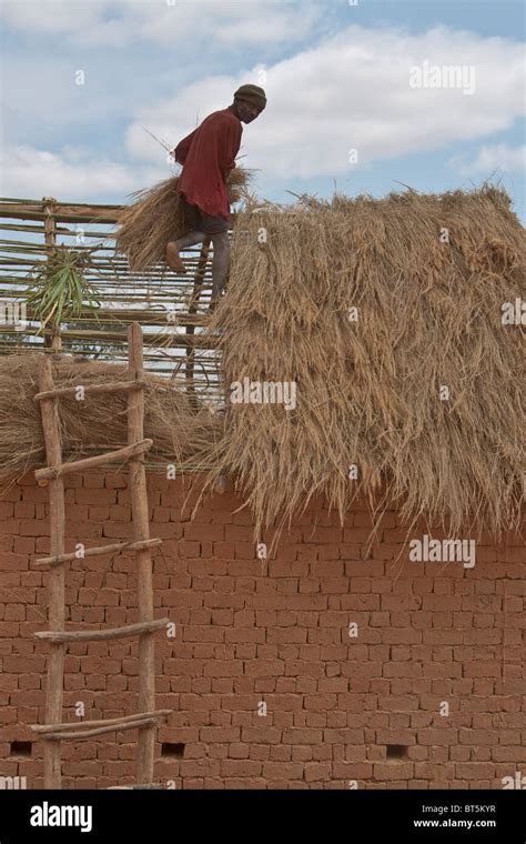 Traditional House Madagascar Hi Res Stock Photography And Images Alamy