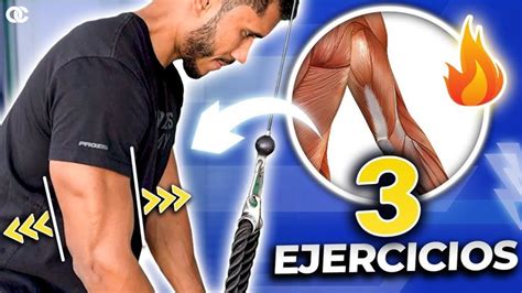 ¡los Únicos 3 Ejercicios Para TrÍceps Que Debes Hacer Ya Ejercicios Musculacion Ejercicios