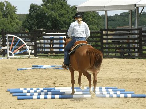 How To Ride A Horse For Beginners: Ultimate Guide