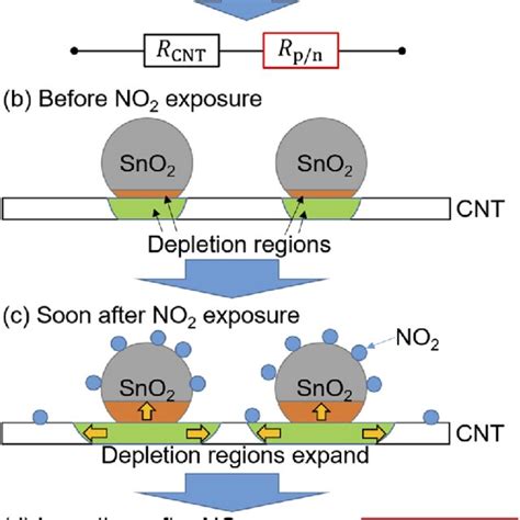 A Equivalent Circuit Of The Cntsno 2 Gas Sensor B D Schematic