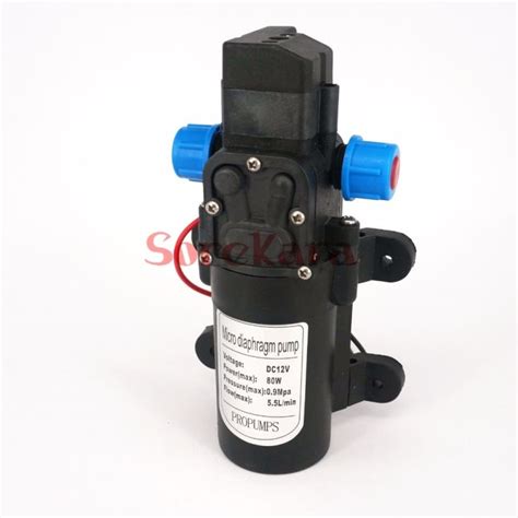 Worth Buy Dc V W Micro Electric Diaphragm Water Pump Self