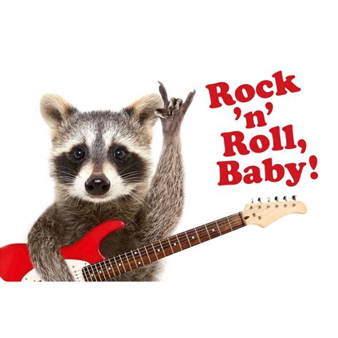 Schild Spruch Rock N Roll Baby 30 X 20 Cm Blechschild 1049