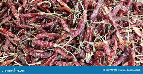 Pile Of Dry Red Hot And Spicy Chillies Stock Photo Image Of Cook