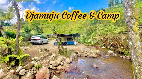 Djamuju Coffee Camp Tempat Camping Favorite Di Ciwidey Bandung Jawa