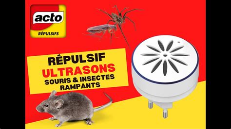 ACTO RUS1 RUS2 RÉPULSIF ULTRASONS SOURIS INSECTES RAMPANTS