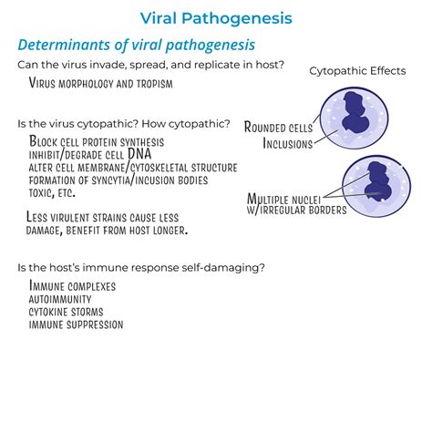 Immunology Microbiology Glossary Viral Pathogenesis Ditki Medical