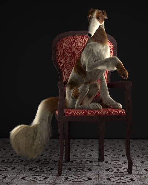 Artstation Borzoi Grooming