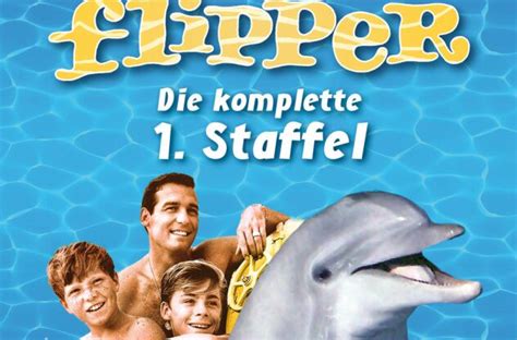 Flipper Alles Zur Serie Tv Spielfilm