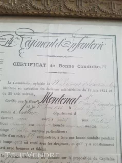 Rare Certificat Bonne Conduite Rgt Infanterie Limoges Lun Ville