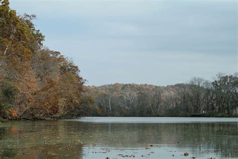 Free Images Landscape Tree Nature Wilderness Morning Shore Lake