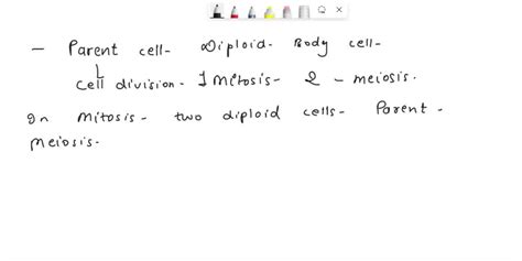 Solved Please Create A Concept Map With The Following Words Mitosis