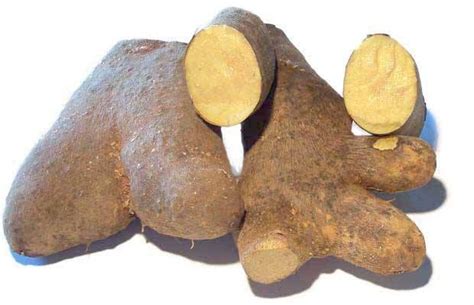 Discover The Delicious Varieties Of Jamaican Yam