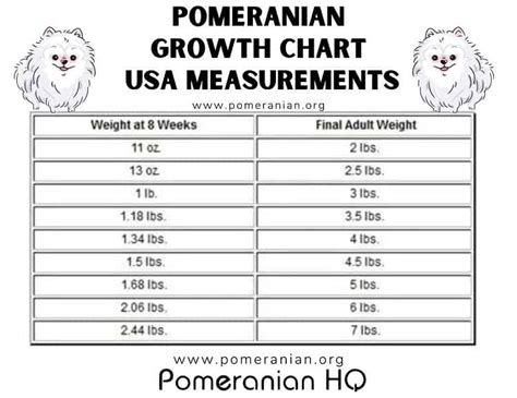 Pomeranian Weight Chart: Puppy Growth Chart Details