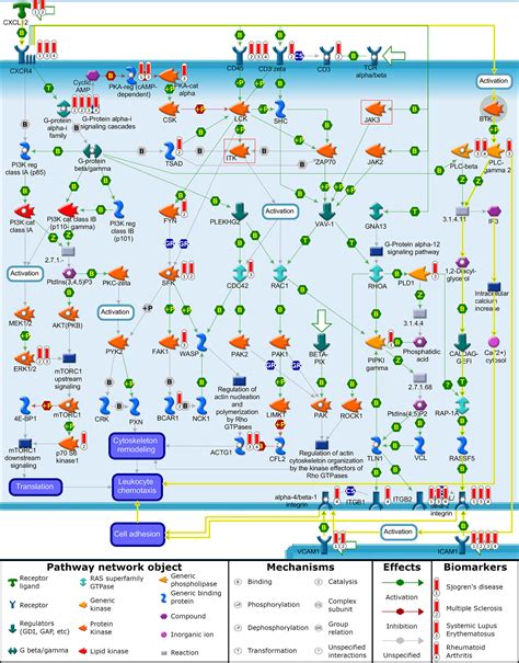 Frontiers Brutons Tyrosine Kinase Btk Inhibitors And Autoimmune