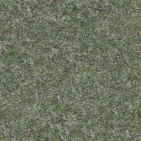 Grass Dry56 Free Seamless Texture 3000 Pixels Square Zaphad1 Flickr