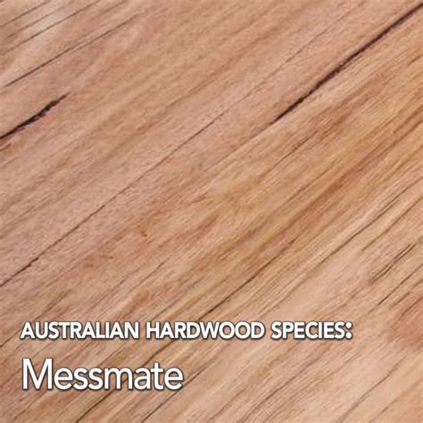 Messmate Hardwood Timber Species Data Mr Timber Flooring