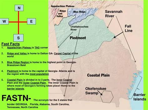 PPT - Okefenokee Swamp PowerPoint Presentation - ID:5234907